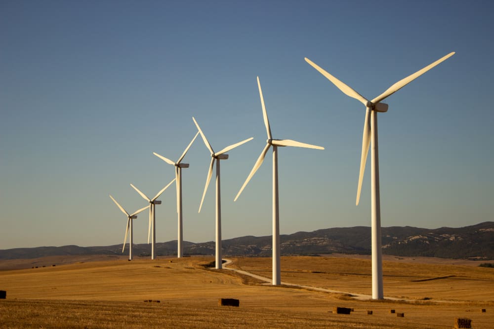 Scenic View featuring Windmills