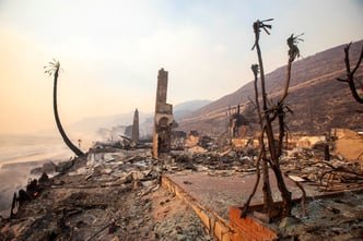 The Palisades fire burns fiercely during a powerful windstorm, spreading devastation across the west side of Los Angeles, California. Photo by Shutterstockcom - Arprince