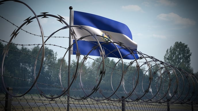 Barbed wire fence and flag of El Salvador - 3d illustration. By Shutterstock.com - PX Media