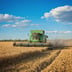 Harvesting combine in the field
