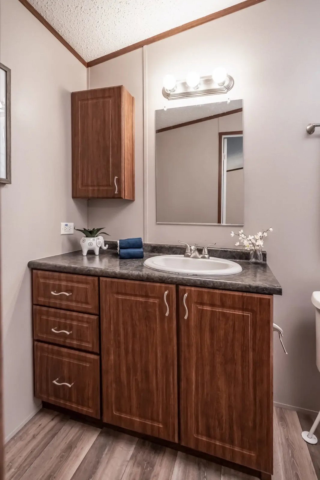 Bathroom vanity in The Lisa by Legacy Housing with a stone-look countertop, wood cabinetry, wall storage, and framed mirror