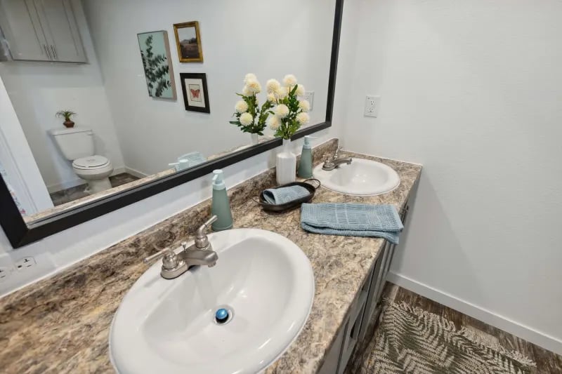 Bathroom countertops inside the Winter Series 3276H by Champion Homes