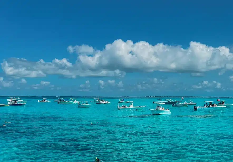 Boat rentals at Robbie's of Islamorada