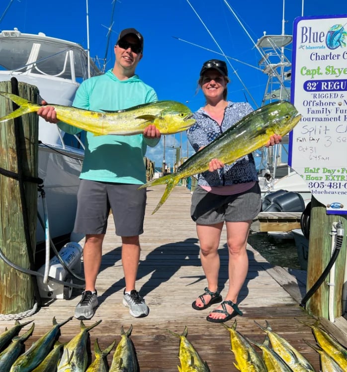 DOLPHIN FISHING TRIP IN THE FLORIDA KEYS