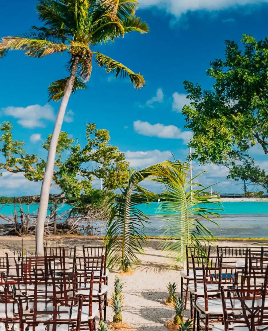 Wedding event at Robbie's of Islamorada