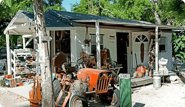 Niknax at Open-Air Shopping in Robbie's of Islamorada