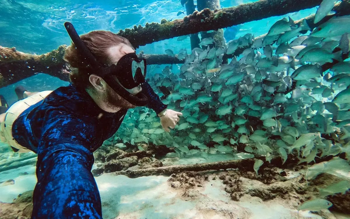 Snorkeling in the Florida Keys