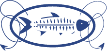 The Hungry Tarpon logo