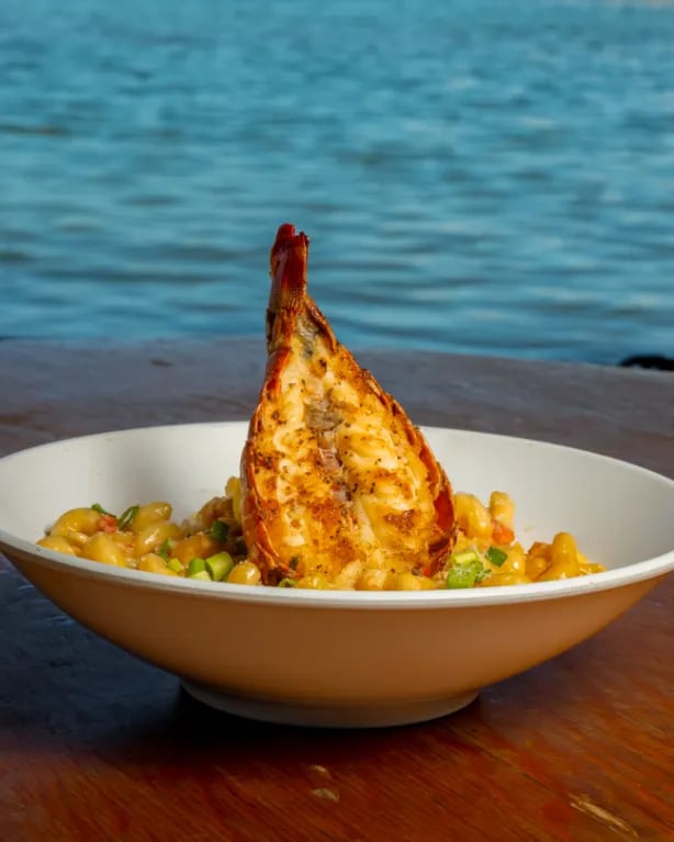 Hungry Tarpon Restaurant