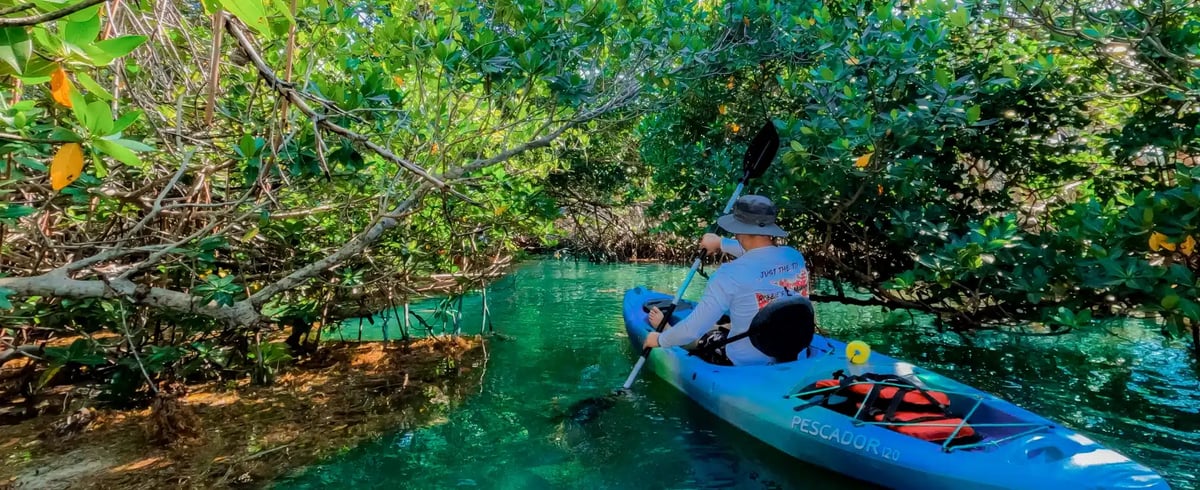 Kayaks and paddleboards ready to rent at Robbie's
