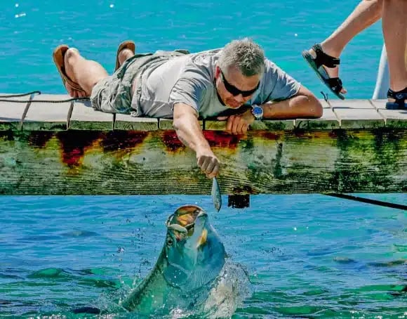 Man feeding a tarpon at Robbie’s