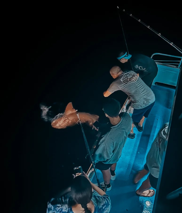 Night fishing charter aboard the Captain Michael in Islamorada
