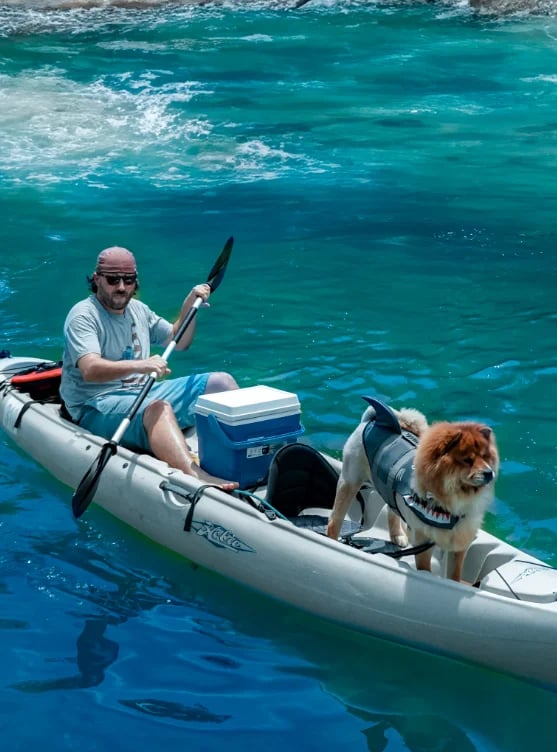 Pet-friendly activities at Robbie’s of Islamorada