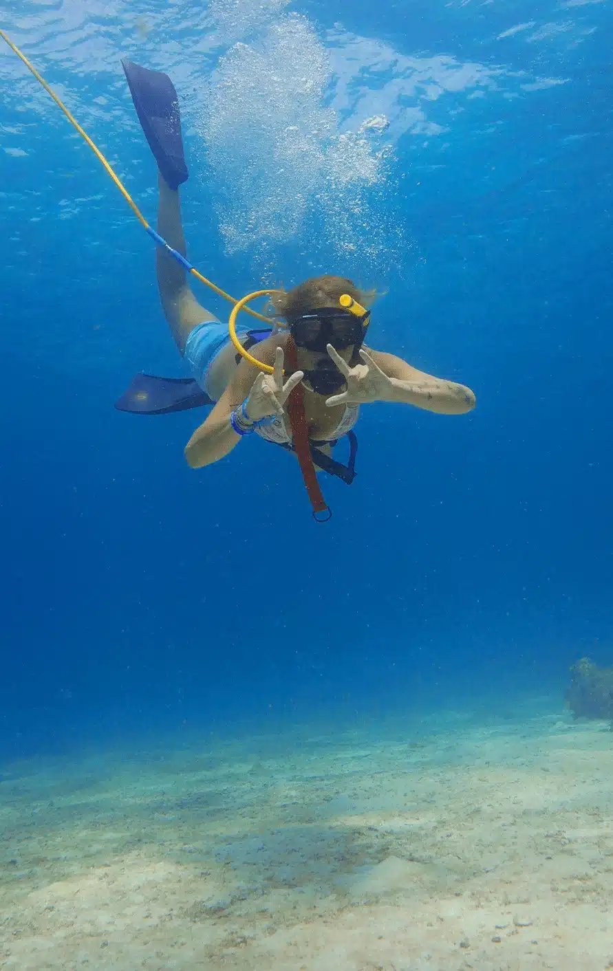 Exploring the Islamorada reef just below the surface