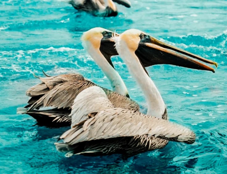 Seven-day Florida Keys itinerary from The Telegraph