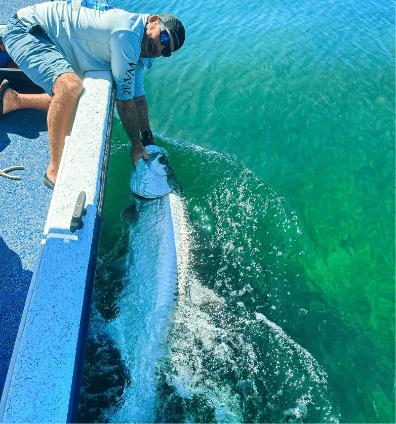 Tarpon fishing in the Florida Keys