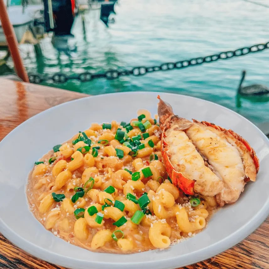 Hungry Tarpon Restaurant
