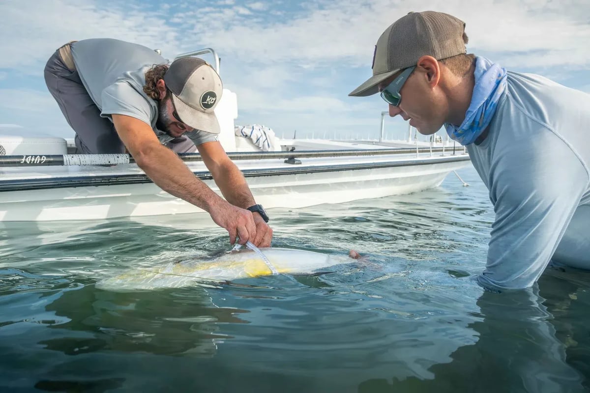 Releasing a bonefish on the backcountry flats of Islamorada