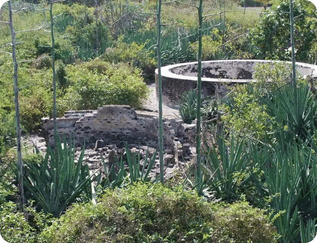 1842: Indian Key Cistern