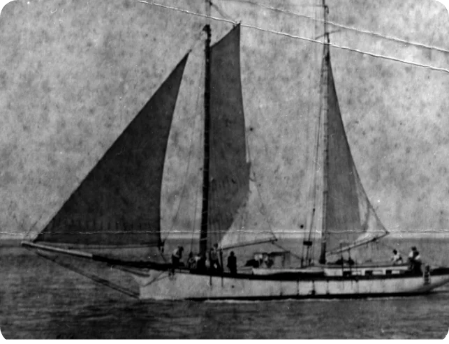 1907: Island Home
