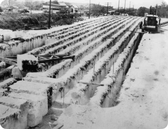 1934: Quarry Limestone