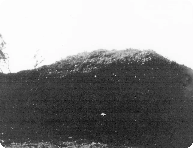 1934: Indian Mounds