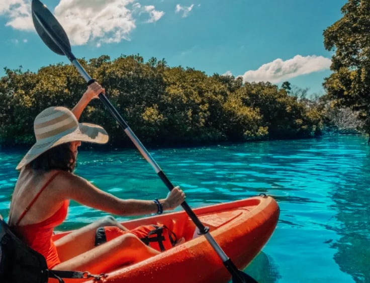 Tarpon feeding at Robbie’s marina, featured in HuffPost