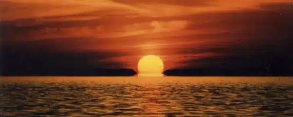Sunset kayak paddle through mangrove tunnels and saltwater flats