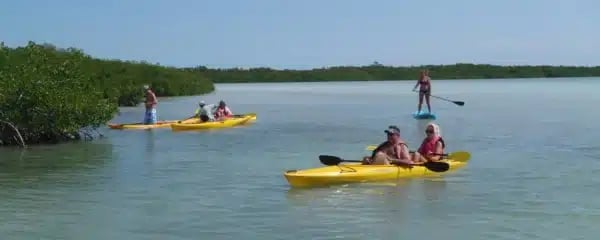 Kayaks and stand up paddleboards ready to rent