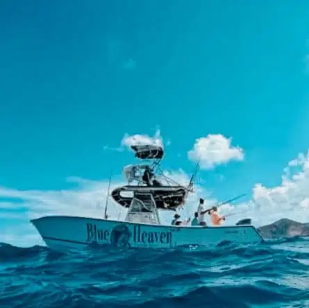 Split Charter Fishing in Islamorada