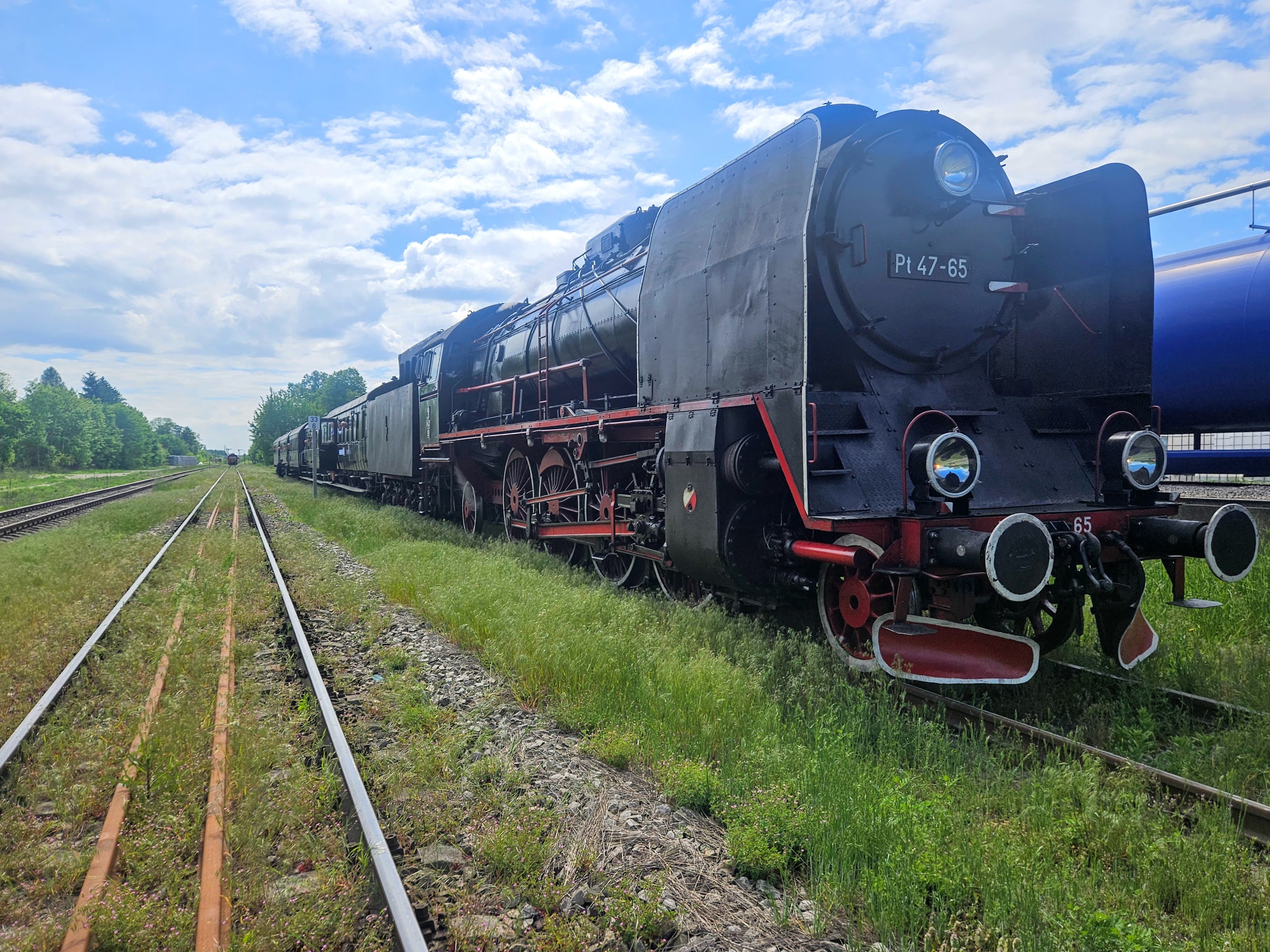 pt47_krzoki
