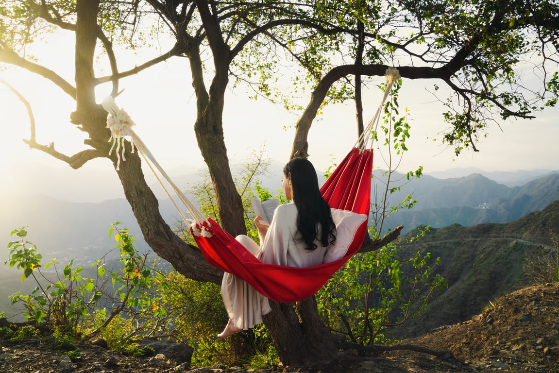 Soudah Development Saudi Arabia map