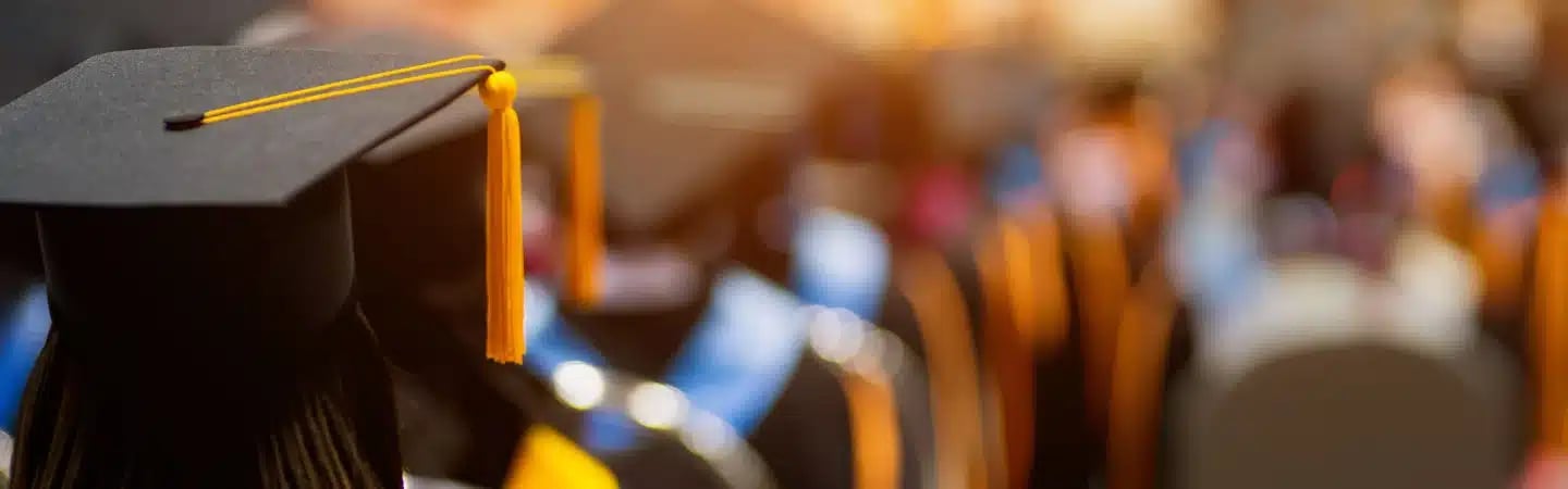 A group of graduates in caps and gowns facing away during a commencement ceremony.