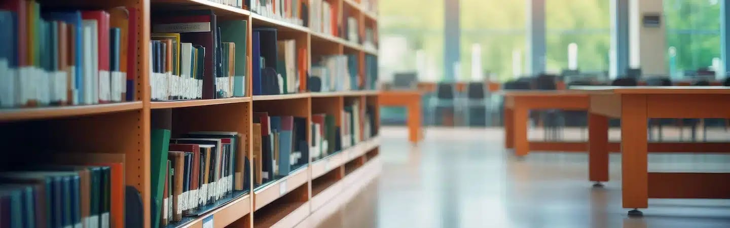 Library interior with rows of bookshelves and tables, large windows in the background letting in natural light.