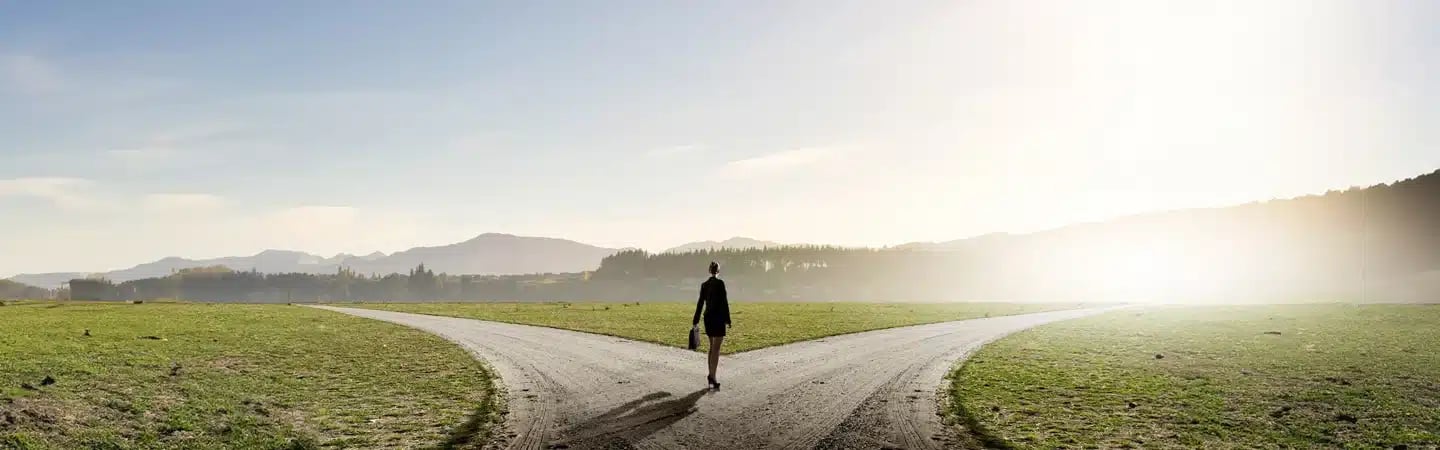 A person stands at a fork in a dirt path, with green fields and mountains in the background under a clear sky.