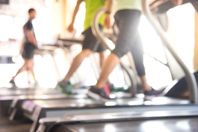 People walking on treadmills in a bright gym, with sunlight streaming in through large windows in the background.