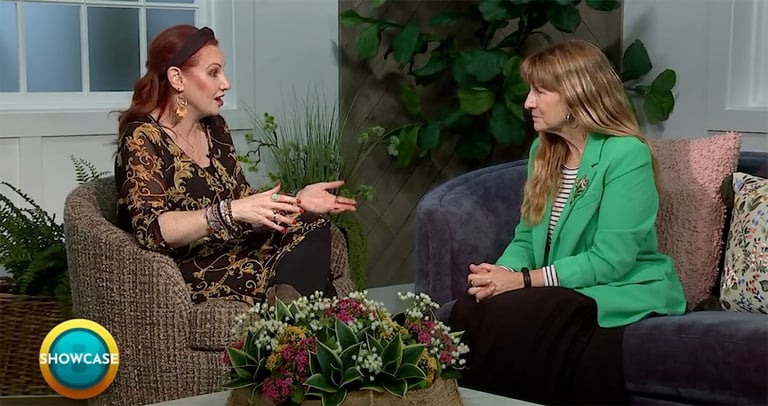 Two women sit facing each other in a cozy living room setting, engaged in conversation about stackable degrees at Bryant & Stratton College. A table with plants is between them, and a "SHOWCASE" logo appears in the lower left corner.