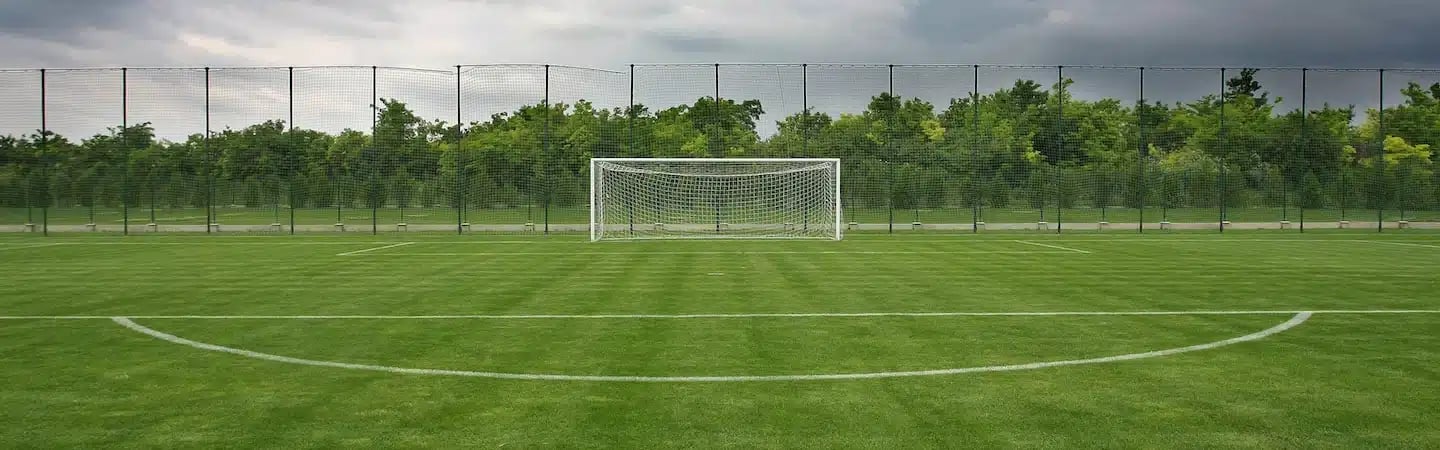A soccer field with a white goalpost, surrounded by green trees and a net fence in the background under a cloudy sky.