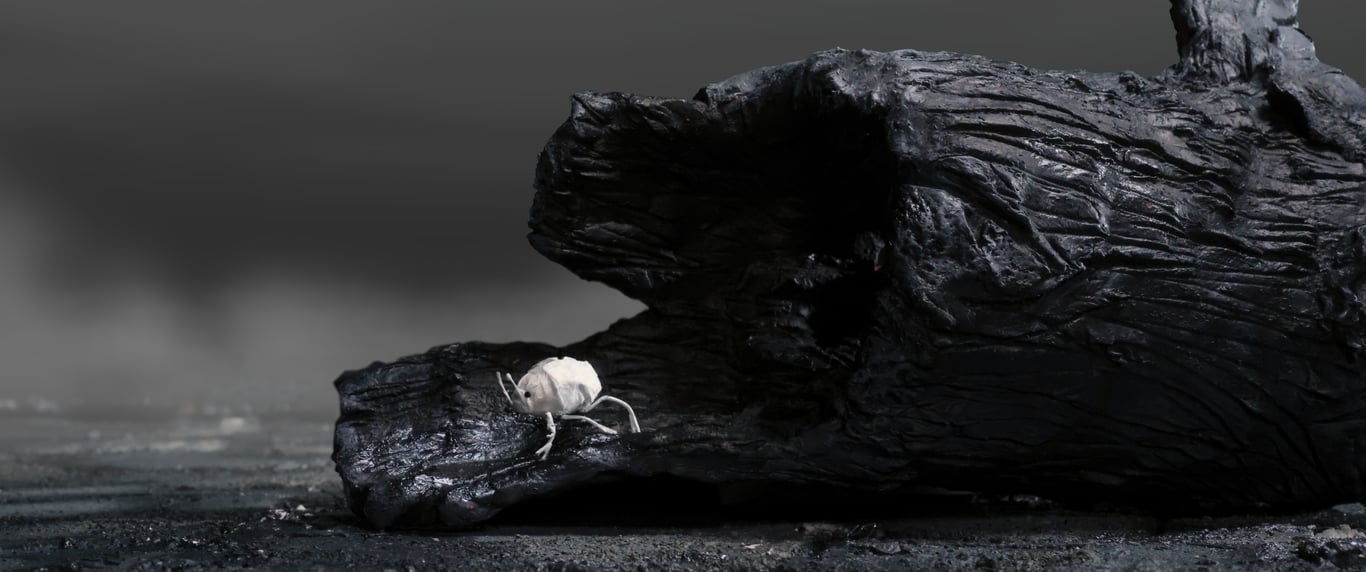 Distance to the Moon