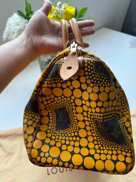 Louis Vuitton — Louis Vuitton bag (Good)