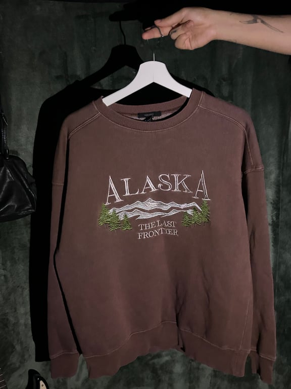 Forever 21 — Forever 21 Alaska Brown Sweater (Size M, Like new)