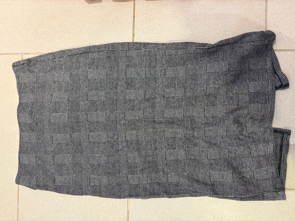 Zara — Zara skirt (Size S, Good)