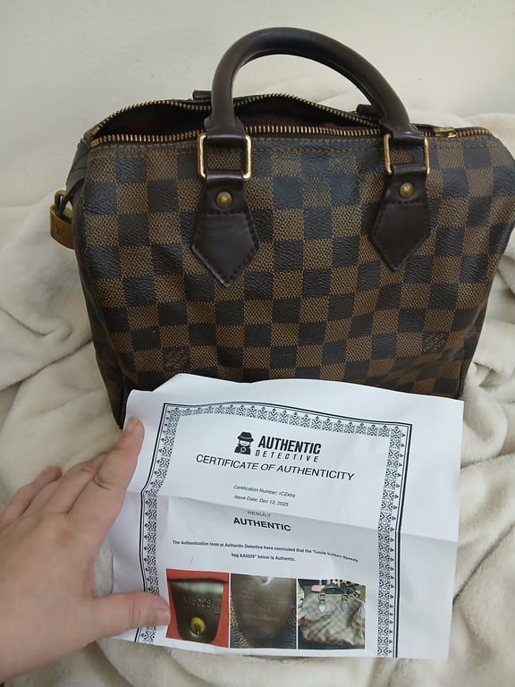 Louis Vuitton — Louis Vuitton Damier Speedy 25 (المقاس One Size, مقبول)