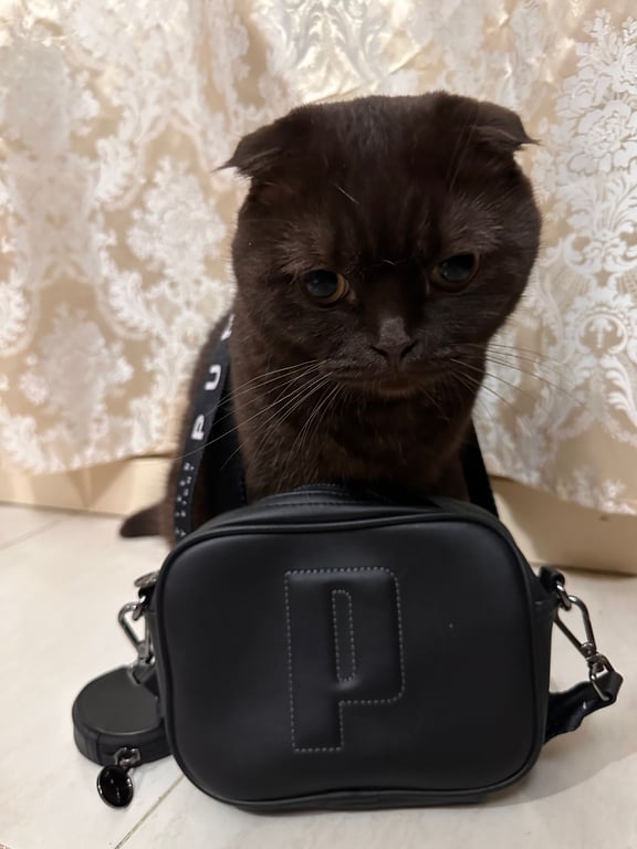 Puma — PUMA Sense Cross Body Bag (Size One Size, Good)