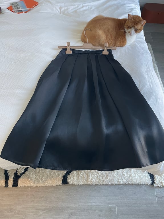 Burberry — Burberry Pleated A-Line Midi Skirt (Size 38, Like new)