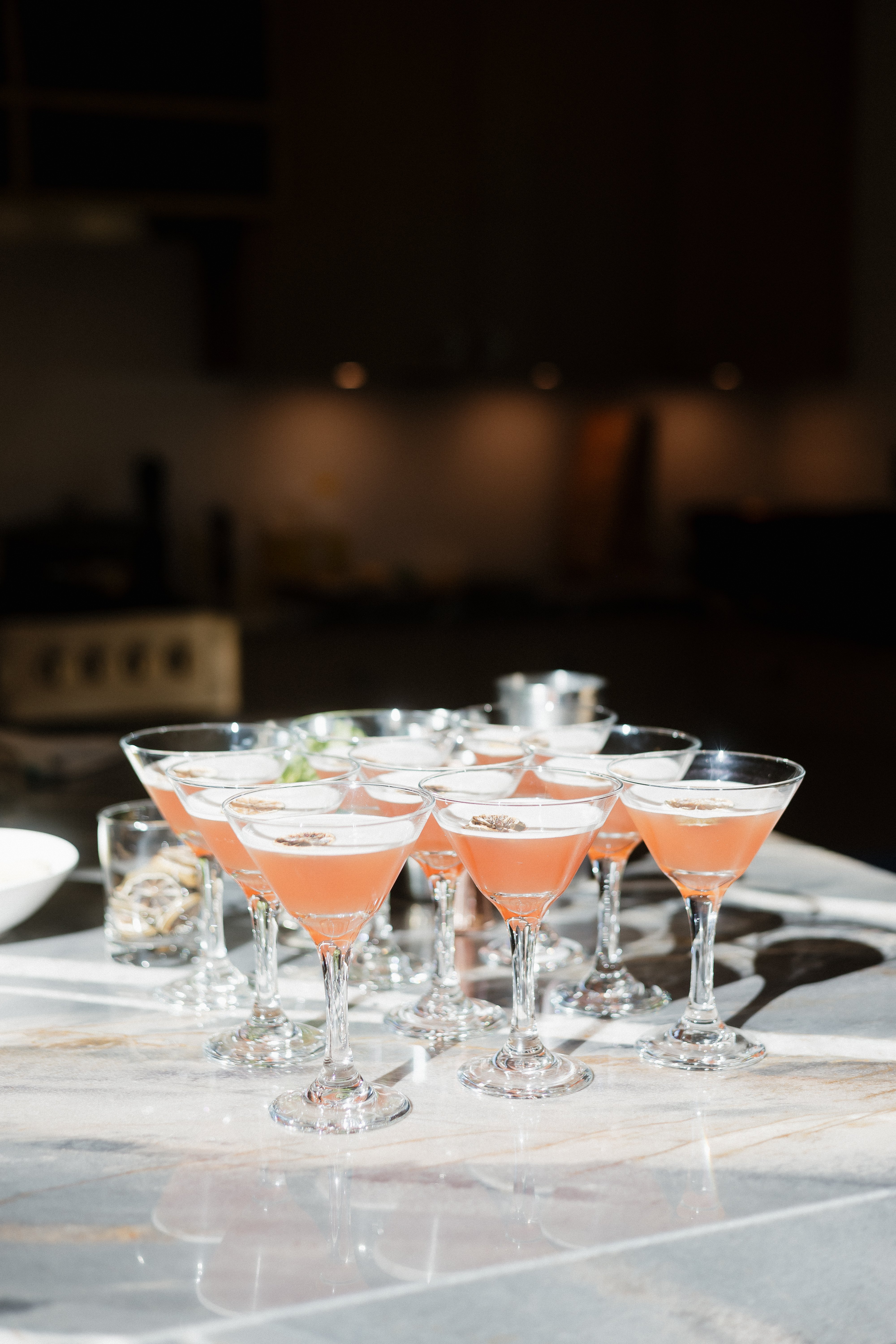 Cocktails Bartender Service