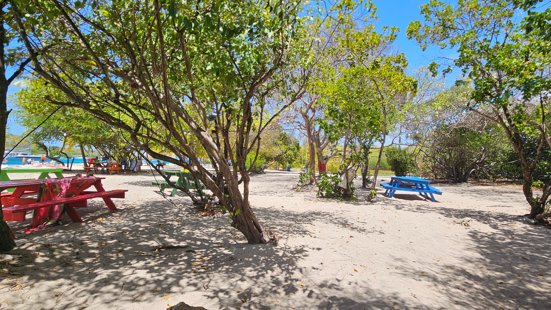 Benches under trees at Tobago Cays