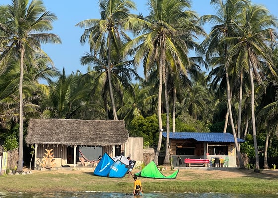 Kite Buddies 