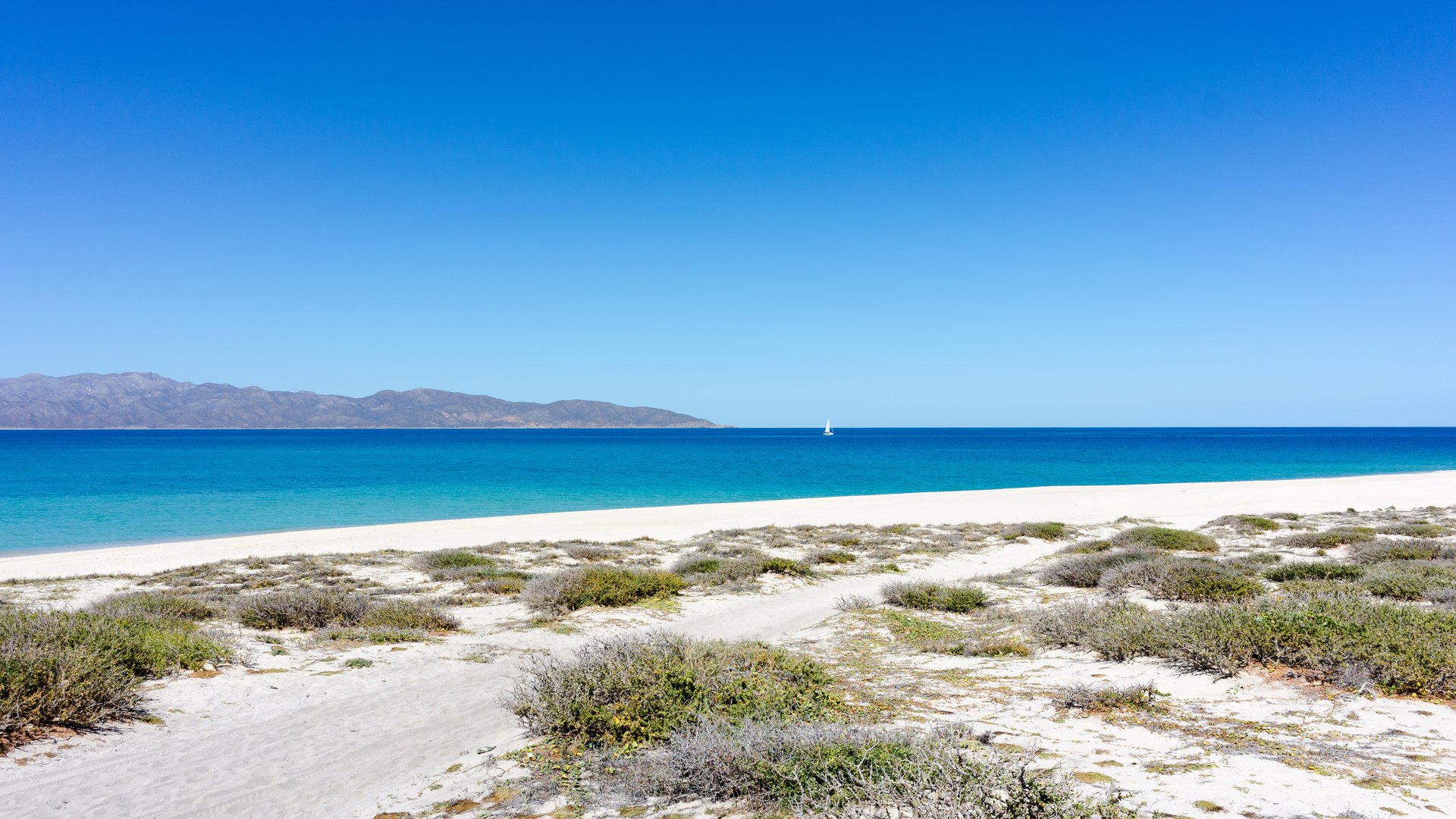 Magic white beach low tide in Punta Arena de la Ventana
