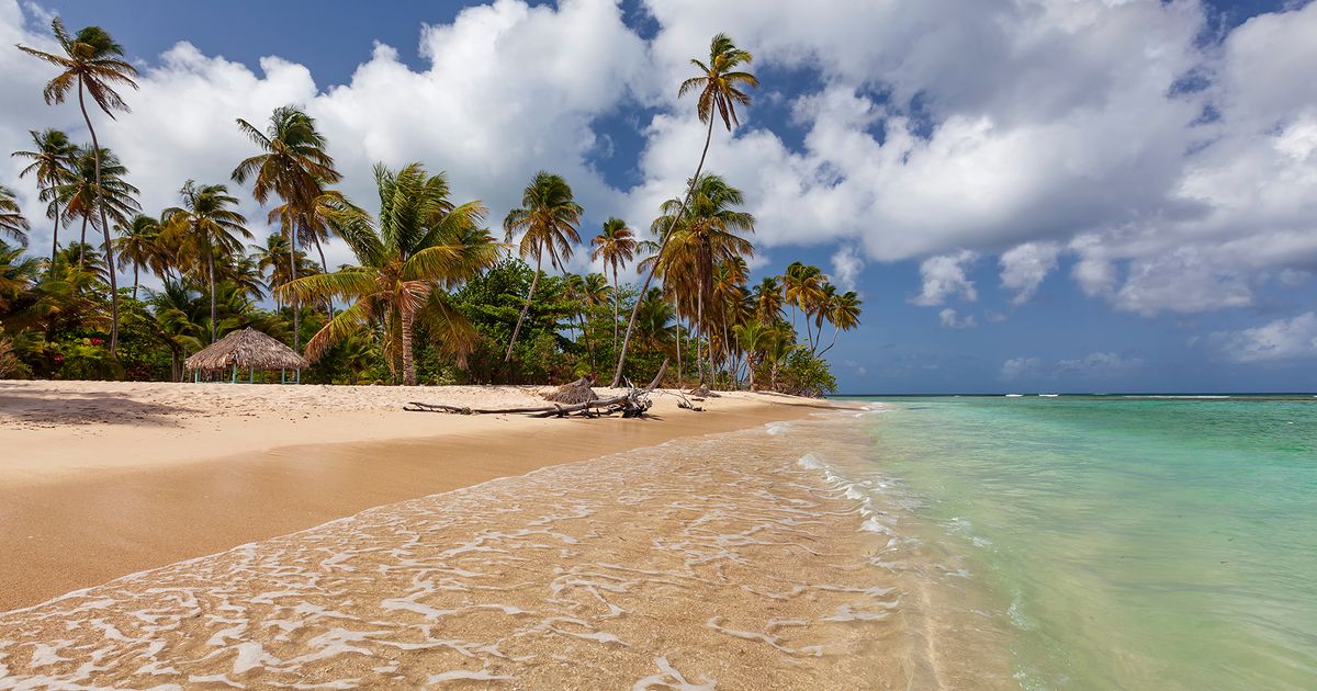 Magical brown beach at Trinidad and Tobago